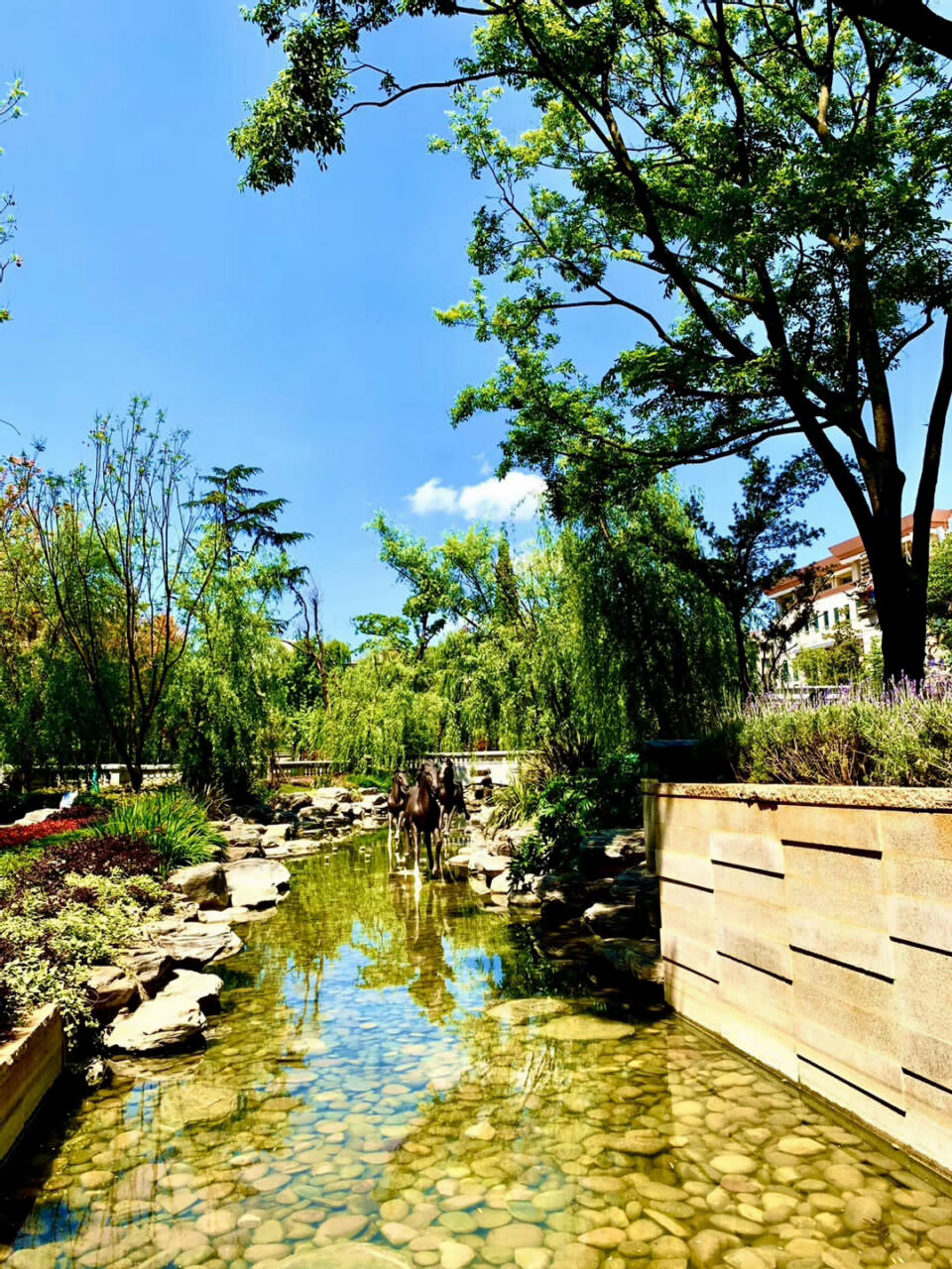 翠湖公園柳營洗馬河景點