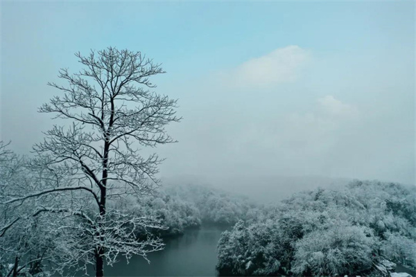 在銅鑼壩，來一場與風(fēng)雪邂逅的浪漫