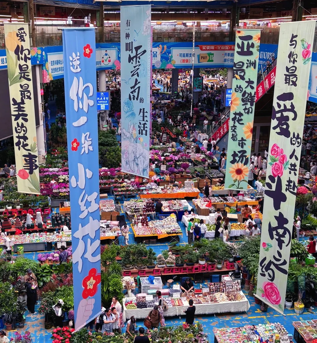 云南旅游,云南旅行社,云南團建公司,云南策劃公司,昆明旅游,昆明旅行社,昆明團建公司,昆明策劃公司,昆明會議會展：藏在春城，屬于昆明人的浪漫！